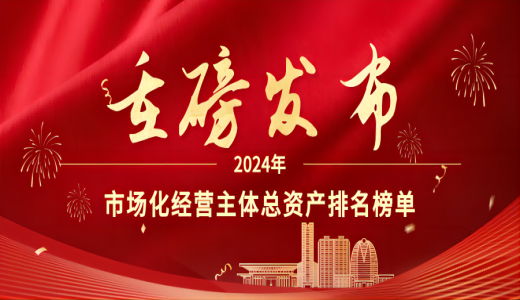 重磅丨城投市場化業(yè)務(wù)經(jīng)營啟示錄：2024年市場化經(jīng)營主體總資產(chǎn)排名榜單