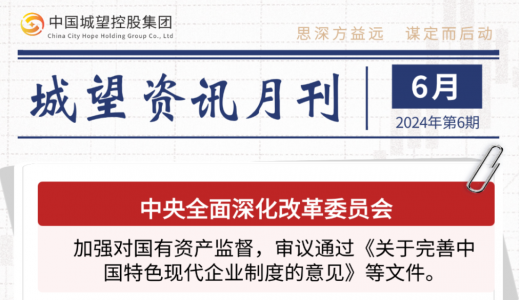 城望資訊6月刊丨城投市場化業(yè)務(wù)經(jīng)營啟示錄